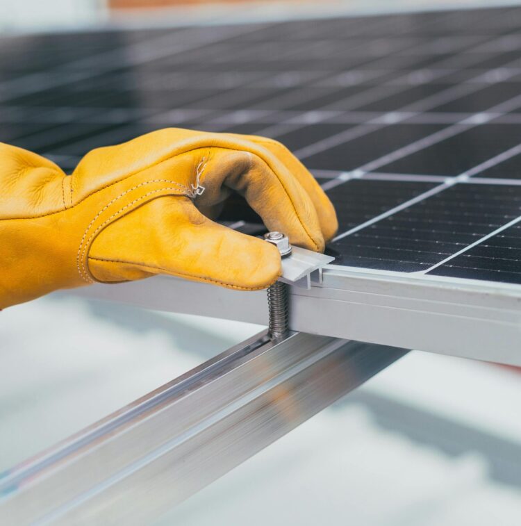 pexels-cristian-rojas-8853500